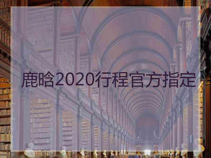 鹿晗2020行程官方指定