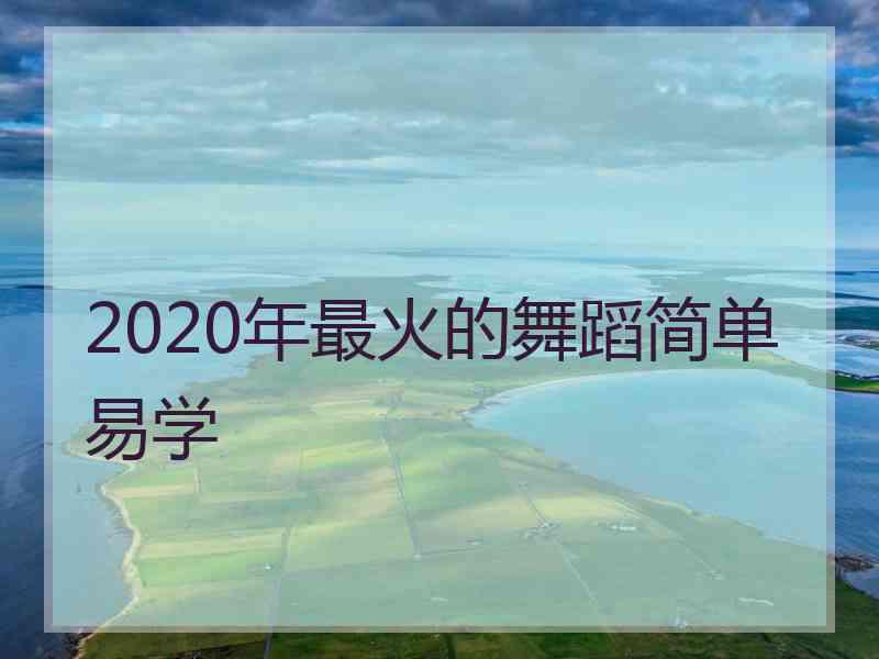 2020年最火的舞蹈简单易学