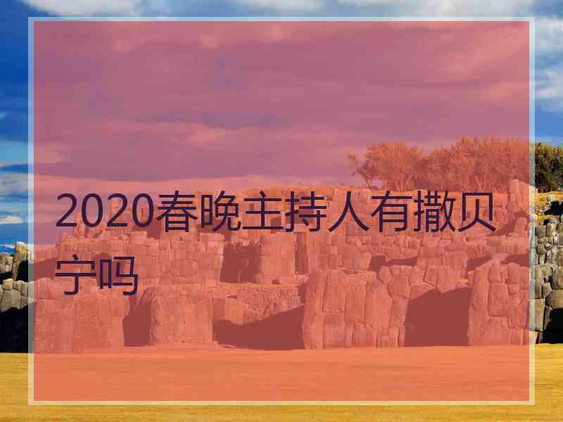 2020春晚主持人有撒贝宁吗