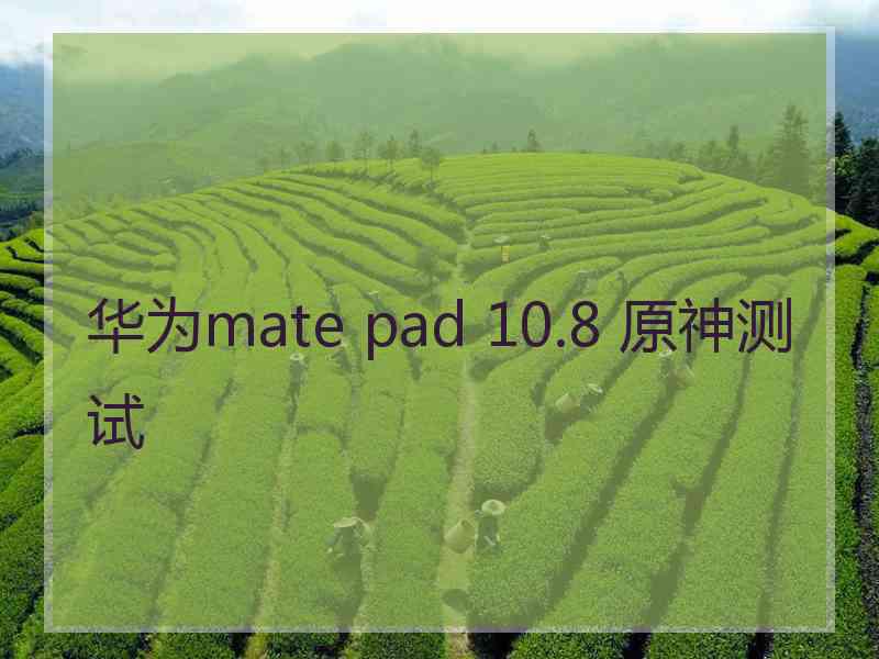 华为mate pad 10.8 原神测试