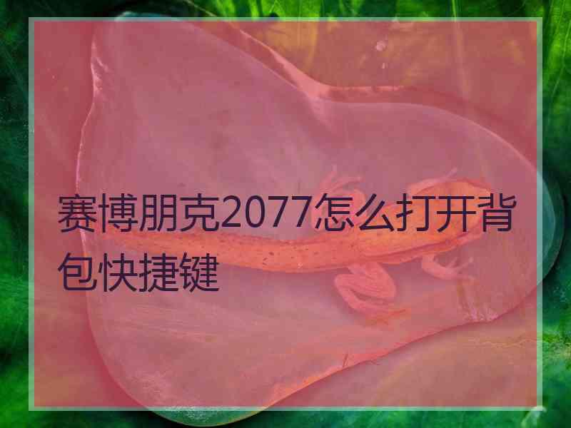 赛博朋克2077怎么打开背包快捷键