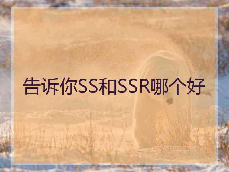 告诉你SS和SSR哪个好