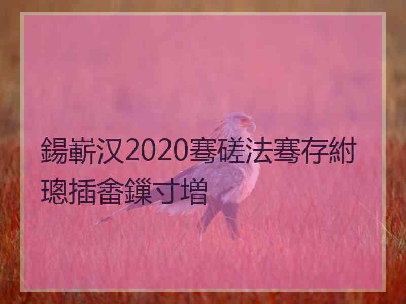 鍚嶄汉2020骞磋法骞存紨璁插畬鏁寸増