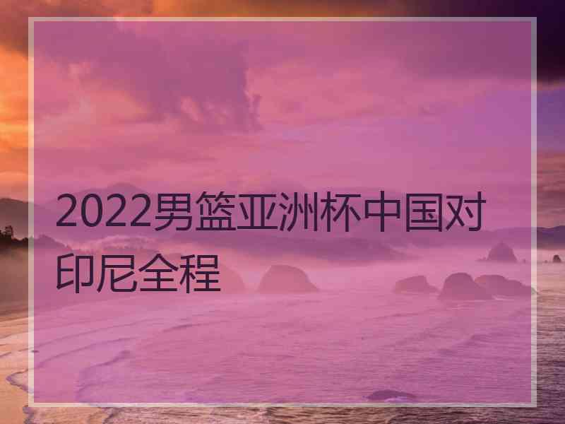 2022男篮亚洲杯中国对印尼全程