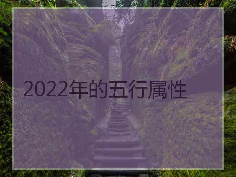 2022年的五行属性