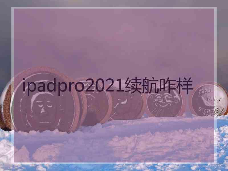 ipadpro2021续航咋样