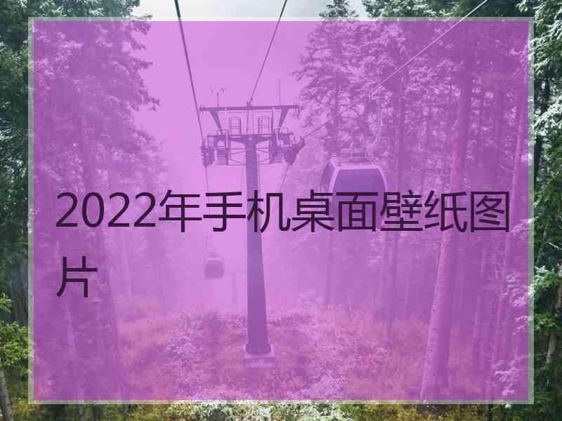 2022年手机桌面壁纸图片