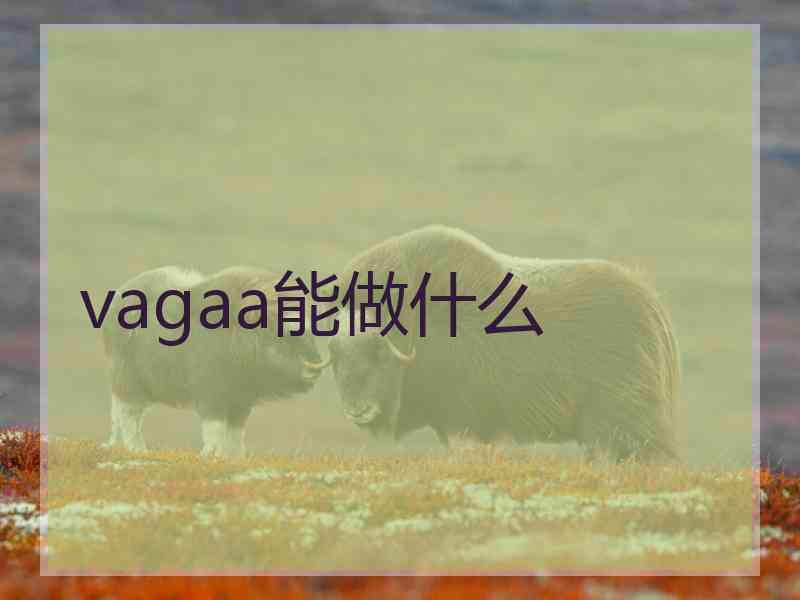 vagaa能做什么