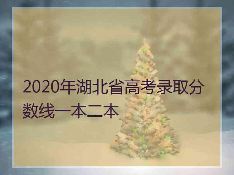 2020年湖北省高考录取分数线一本二本