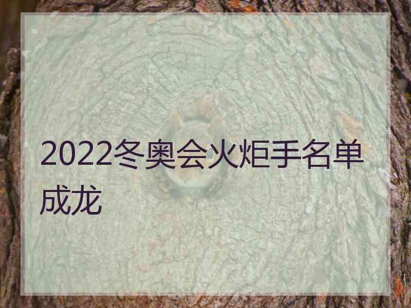 2022冬奥会火炬手名单成龙