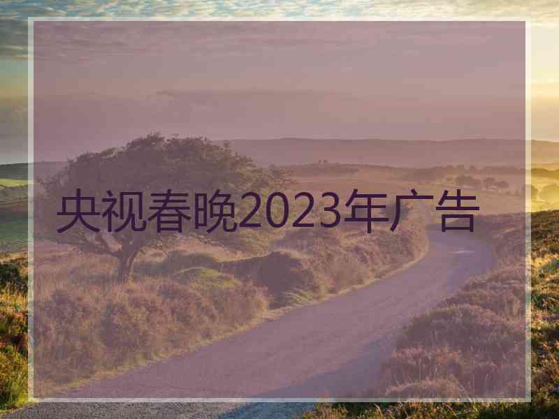 央视春晚2023年广告