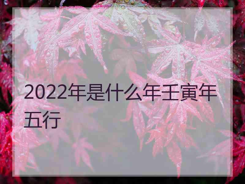 2022年是什么年壬寅年五行