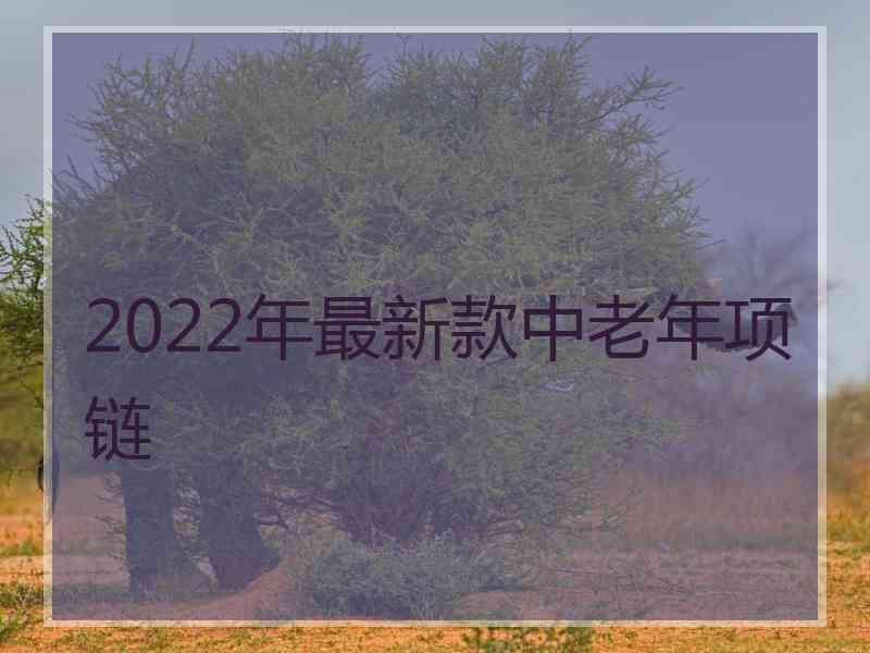 2022年最新款中老年项链