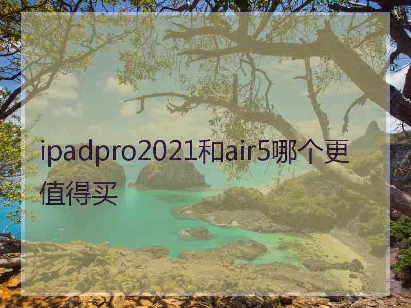 ipadpro2021和air5哪个更值得买