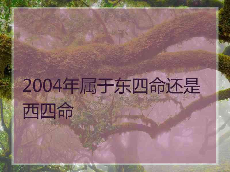 2004年属于东四命还是西四命