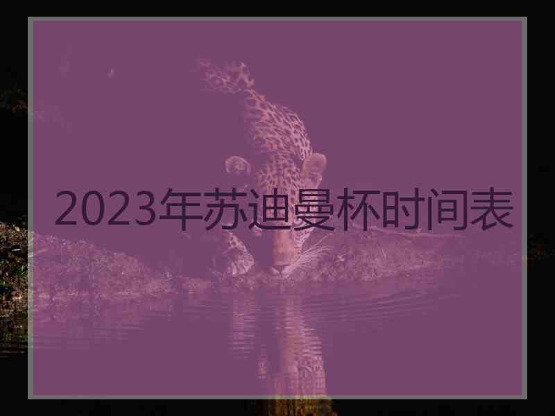 2023年苏迪曼杯时间表