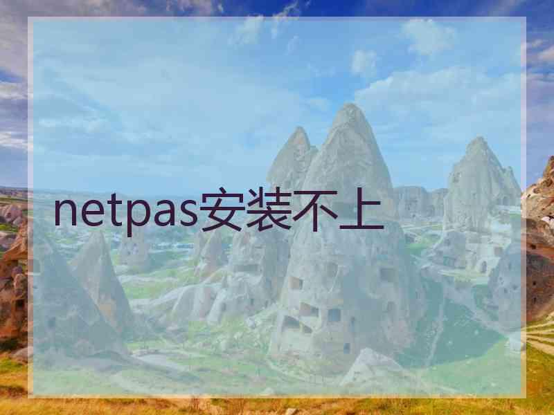 netpas安装不上