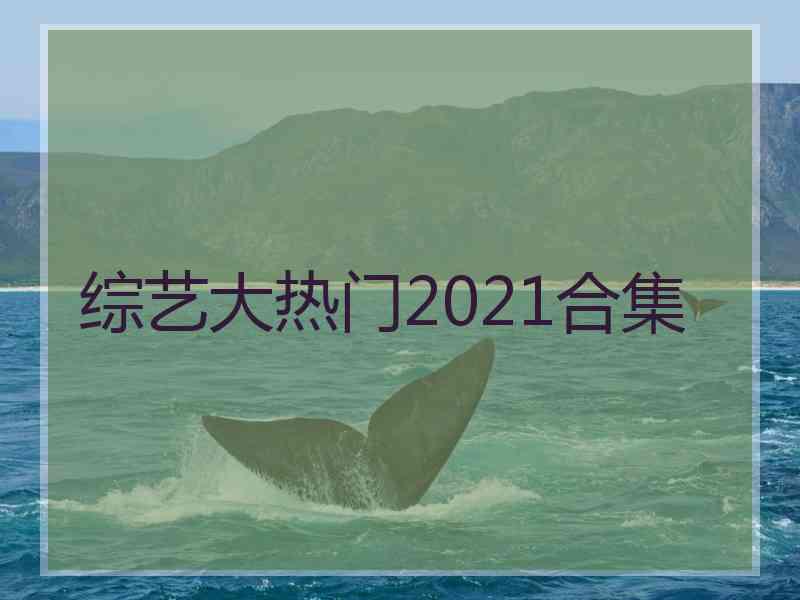 综艺大热门2021合集