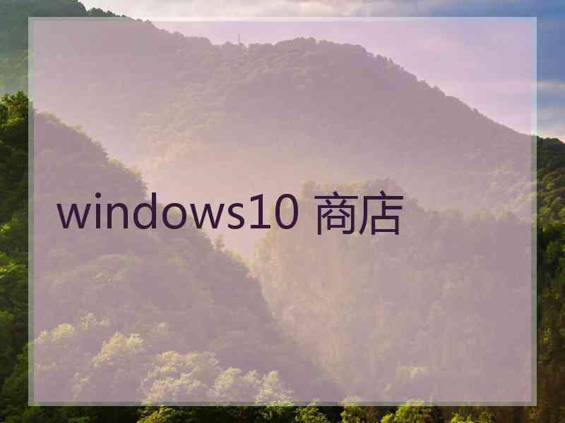 windows10 商店