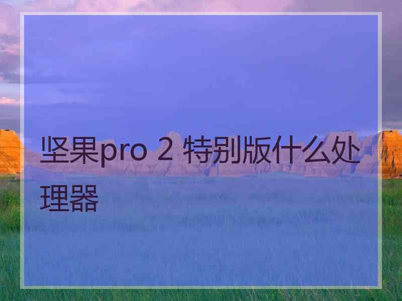 坚果pro 2 特别版什么处理器