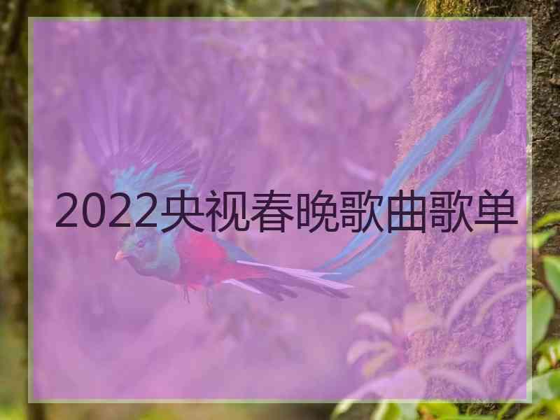 2022央视春晚歌曲歌单