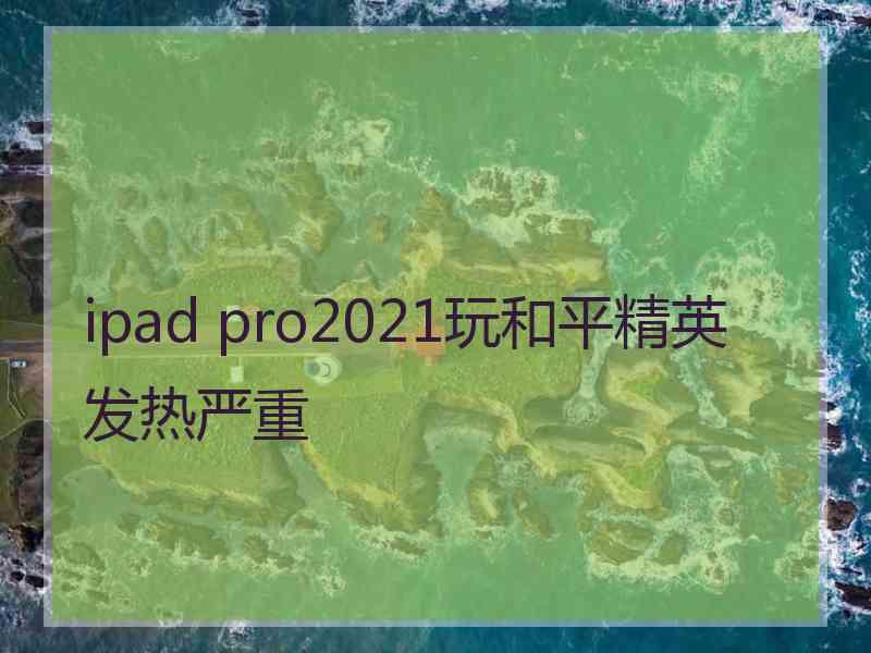 ipad pro2021玩和平精英发热严重