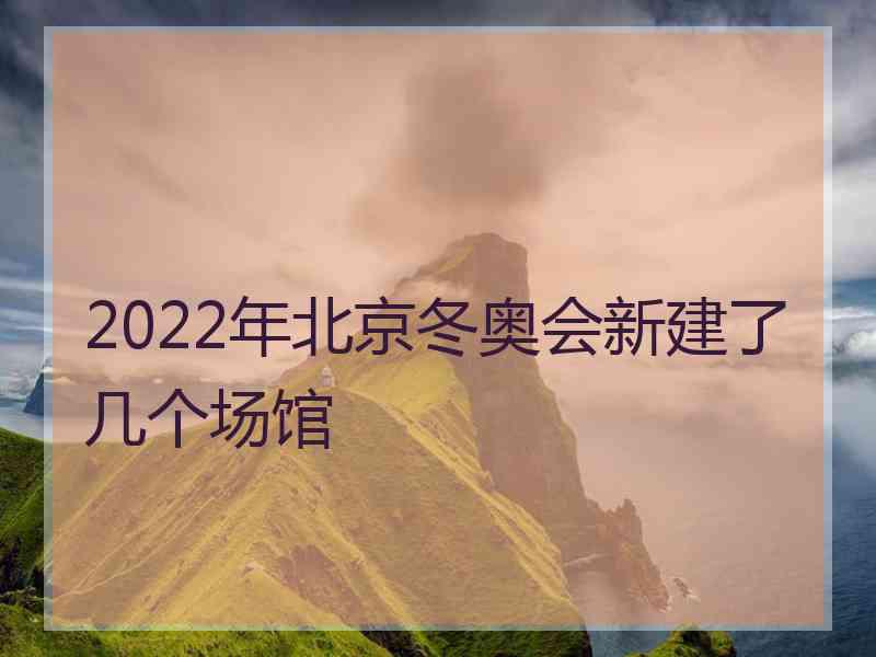 2022年北京冬奥会新建了几个场馆