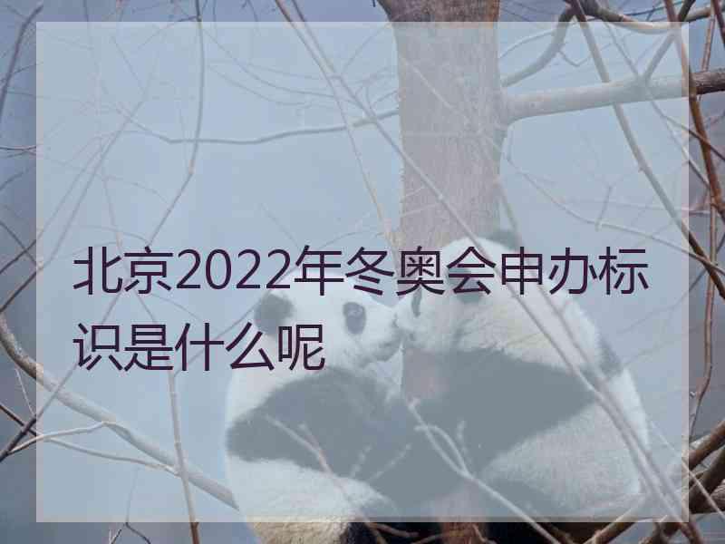 北京2022年冬奥会申办标识是什么呢