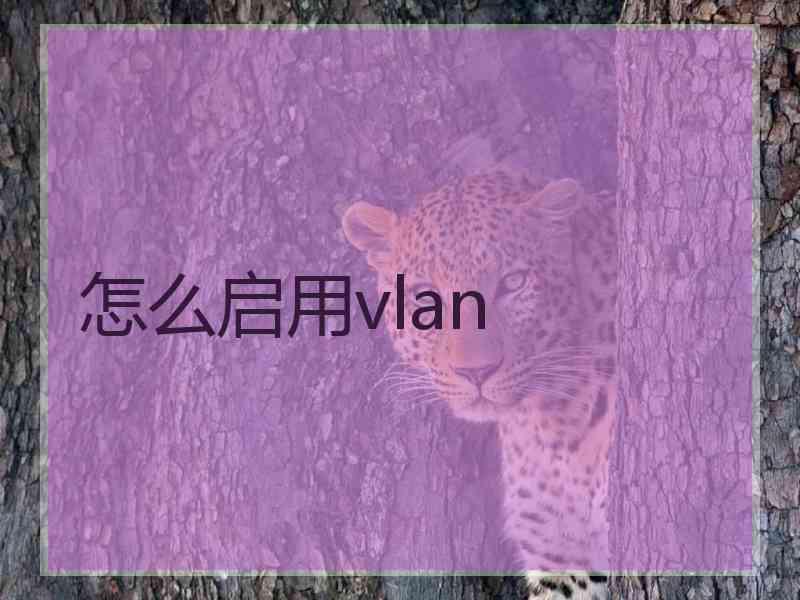 怎么启用vlan