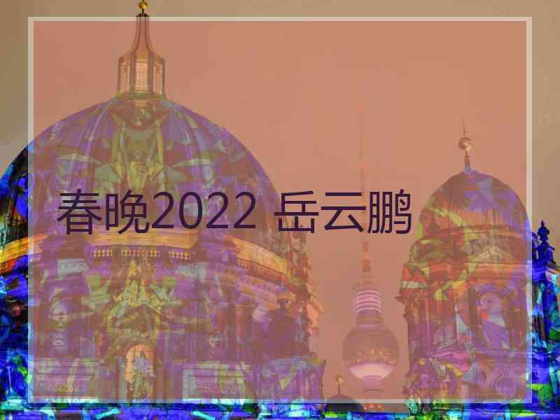 春晚2022 岳云鹏