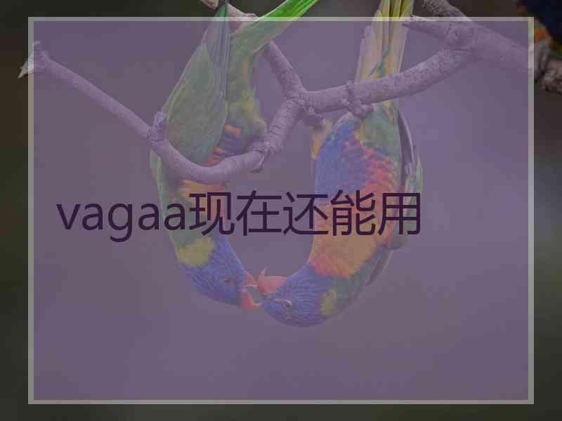 vagaa现在还能用