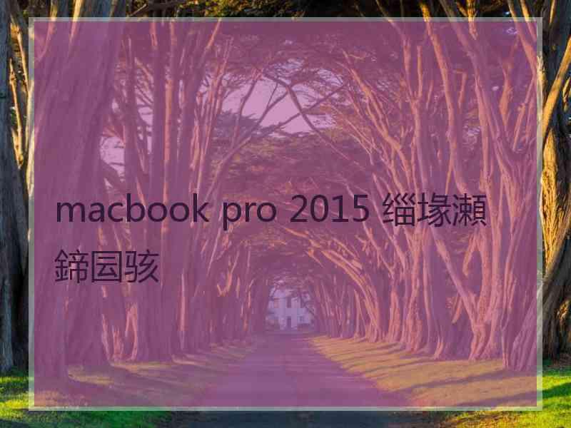 macbook pro 2015 缁堟瀬鍗囩骇