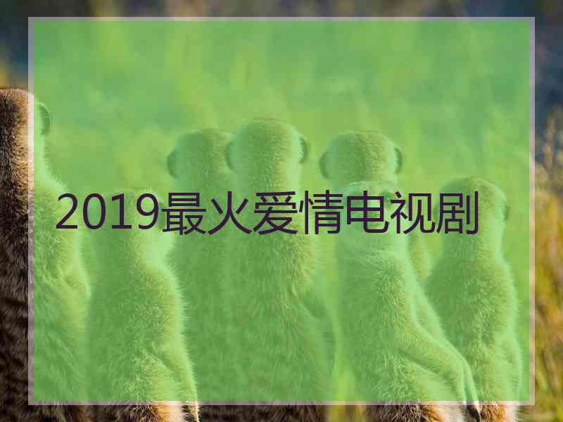 2019最火爱情电视剧