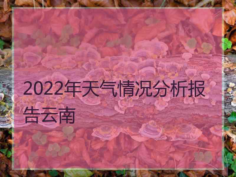 2022年天气情况分析报告云南