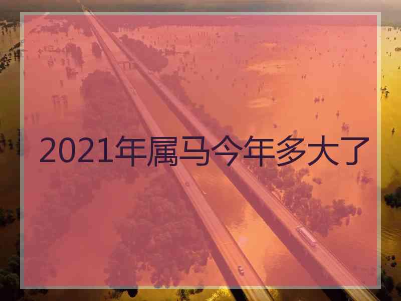 2021年属马今年多大了