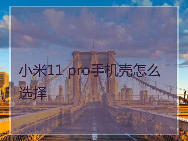 小米11 pro手机壳怎么选择