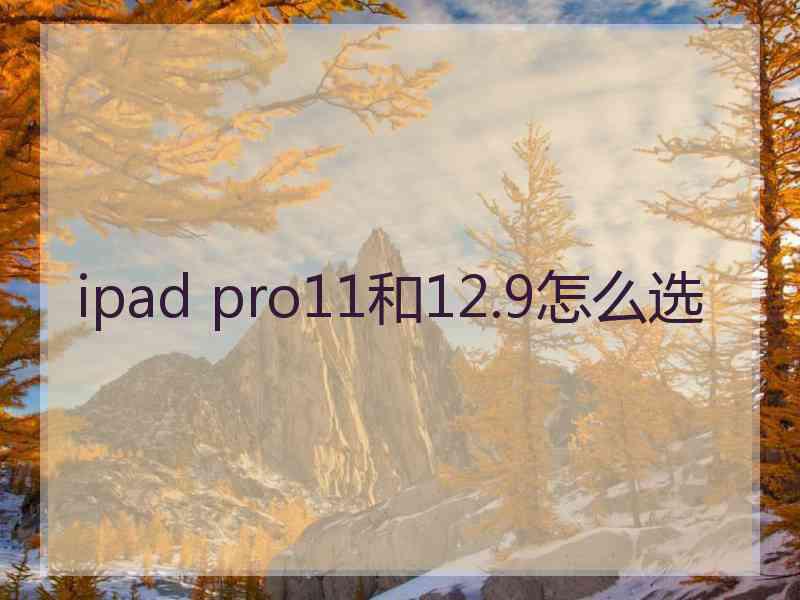 ipad pro11和12.9怎么选