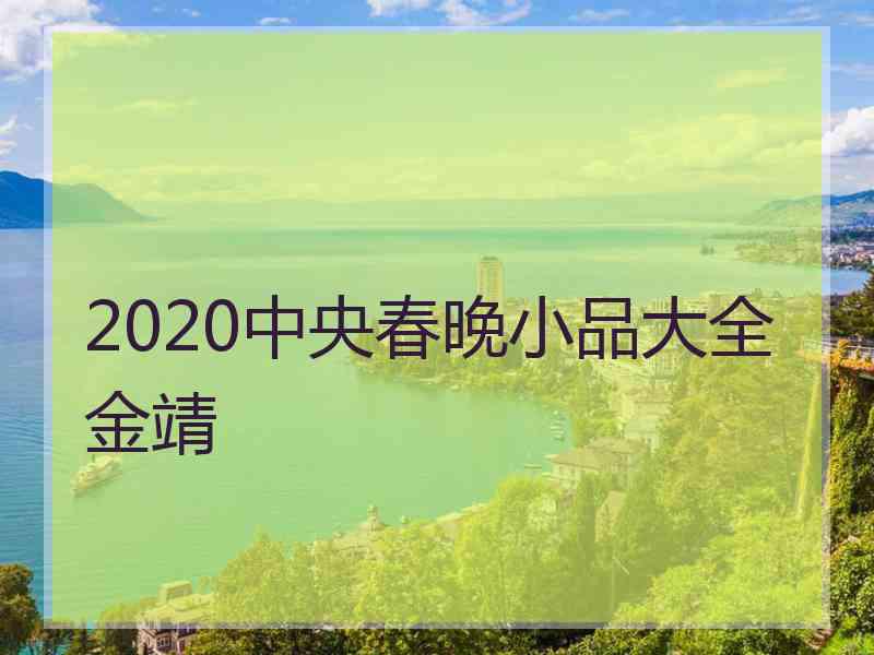 2020中央春晚小品大全金靖