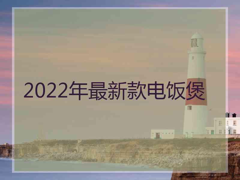 2022年最新款电饭煲