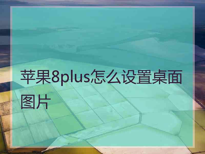 苹果8plus怎么设置桌面图片