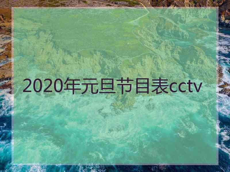 2020年元旦节目表cctv