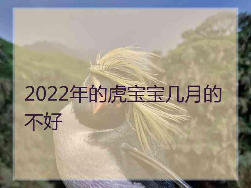 2022年的虎宝宝几月的不好