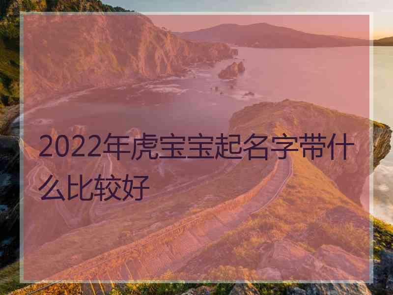 2022年虎宝宝起名字带什么比较好