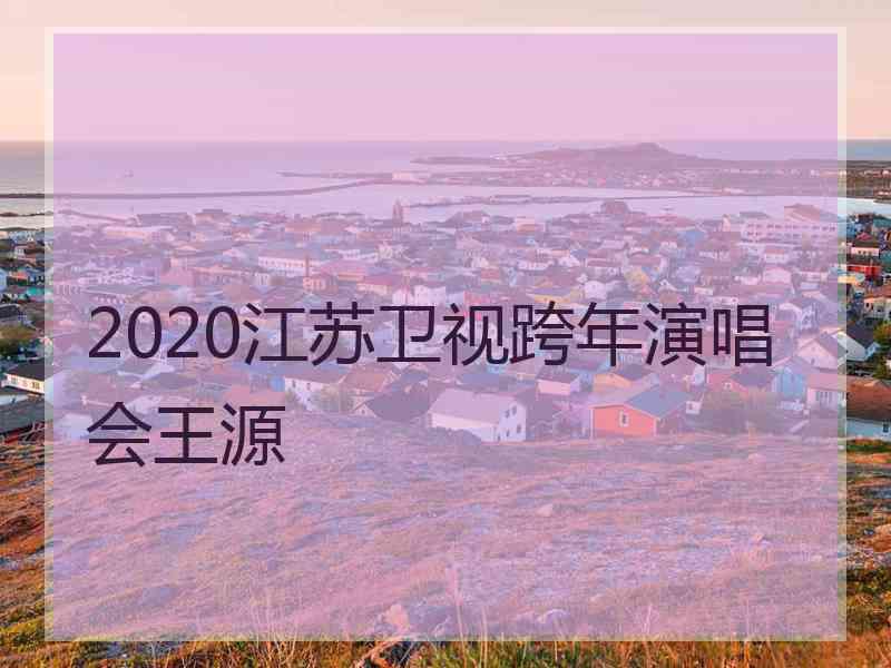 2020江苏卫视跨年演唱会王源