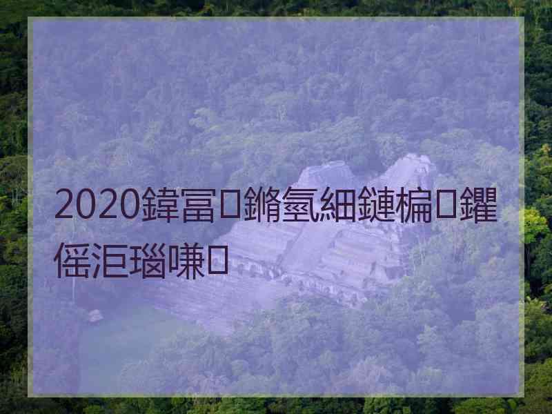 2020鍏冨鏅氫細鏈楄鑺傜洰瑙嗛