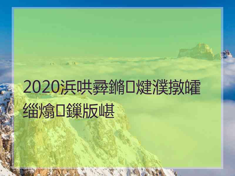 2020浜哄彛鏅煡濮撴皬缁熻鏁版嵁