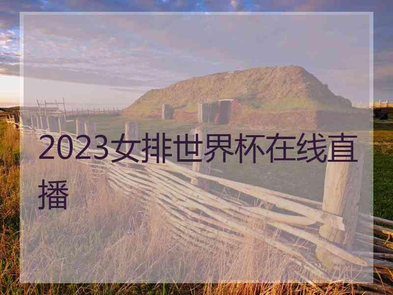 2023女排世界杯在线直播