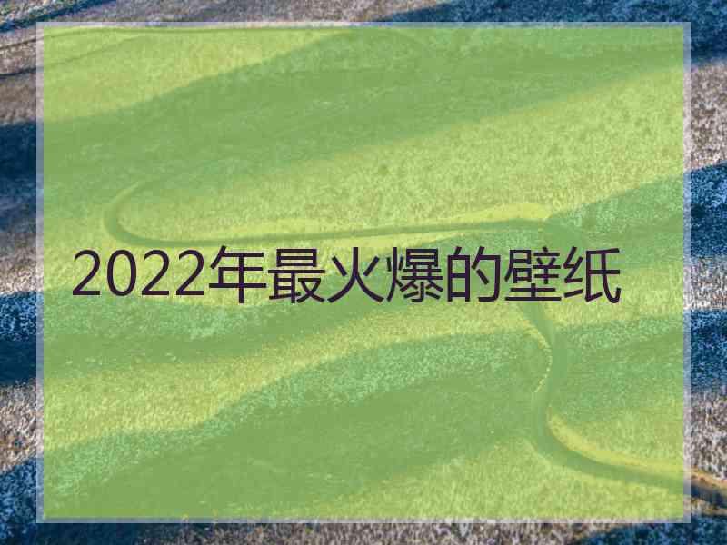 2022年最火爆的壁纸