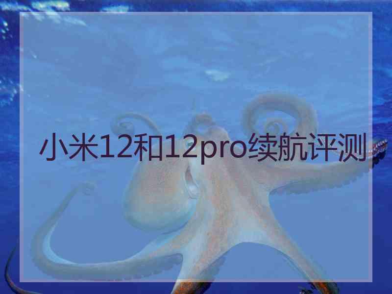 小米12和12pro续航评测