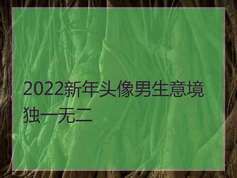 2022新年头像男生意境独一无二